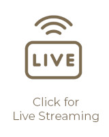 Youtube Live Stream